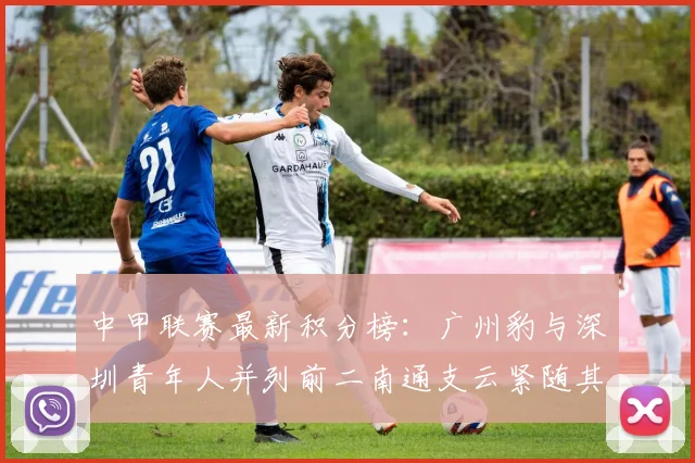中甲联赛最新积分榜：广州豹与深圳青年人并列前二南通支云紧随其后